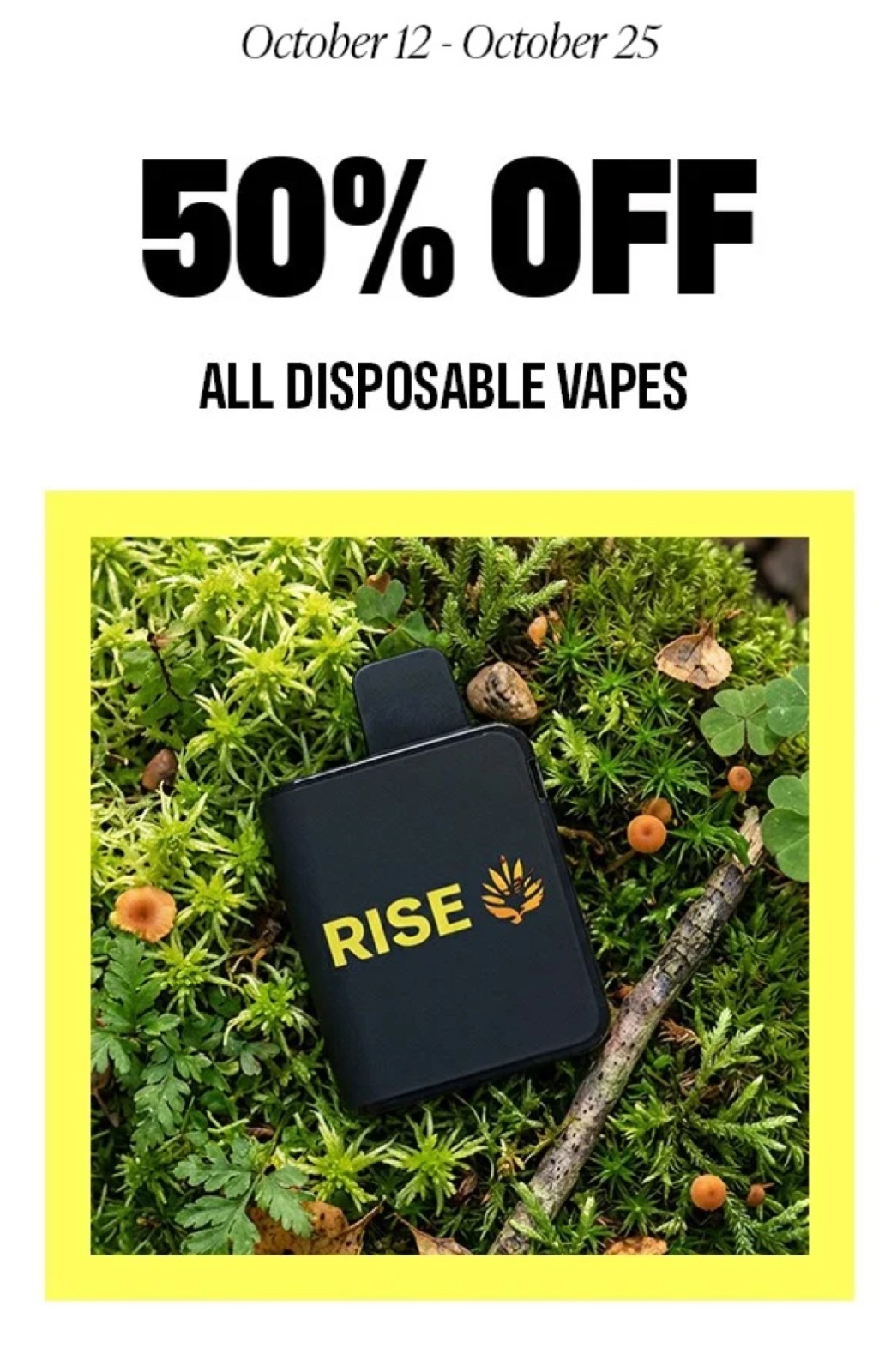 Rise graphic 4 of 4